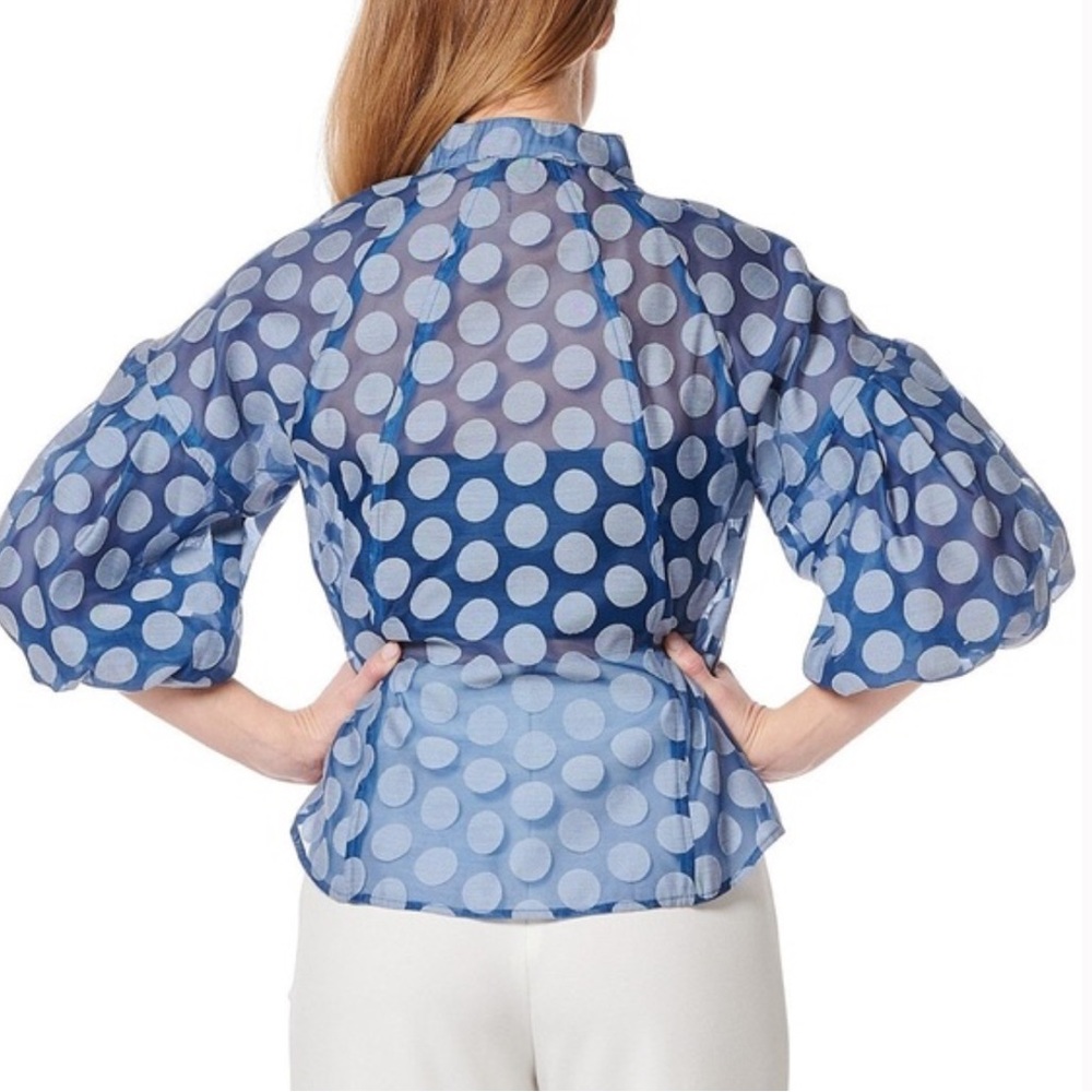 *NWT Gracie Sheer Polka Dot Paneled Button Up with Puff Sleeve Blouse Blue Large - Picture 2 of 4